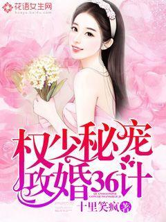 权少秘宠：攻婚36计